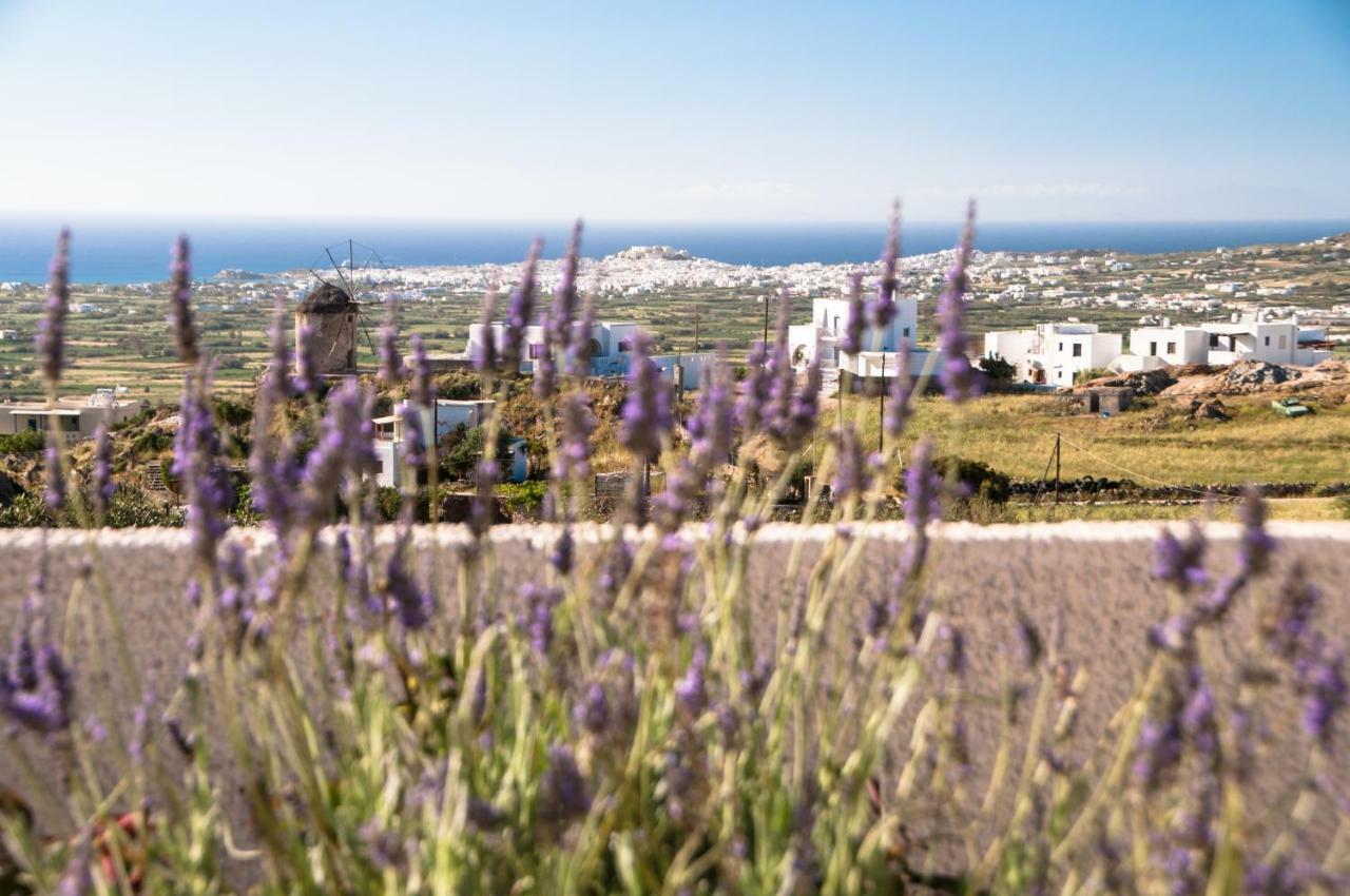 شقة Naxos View Glinado Naxos المظهر الخارجي الصورة